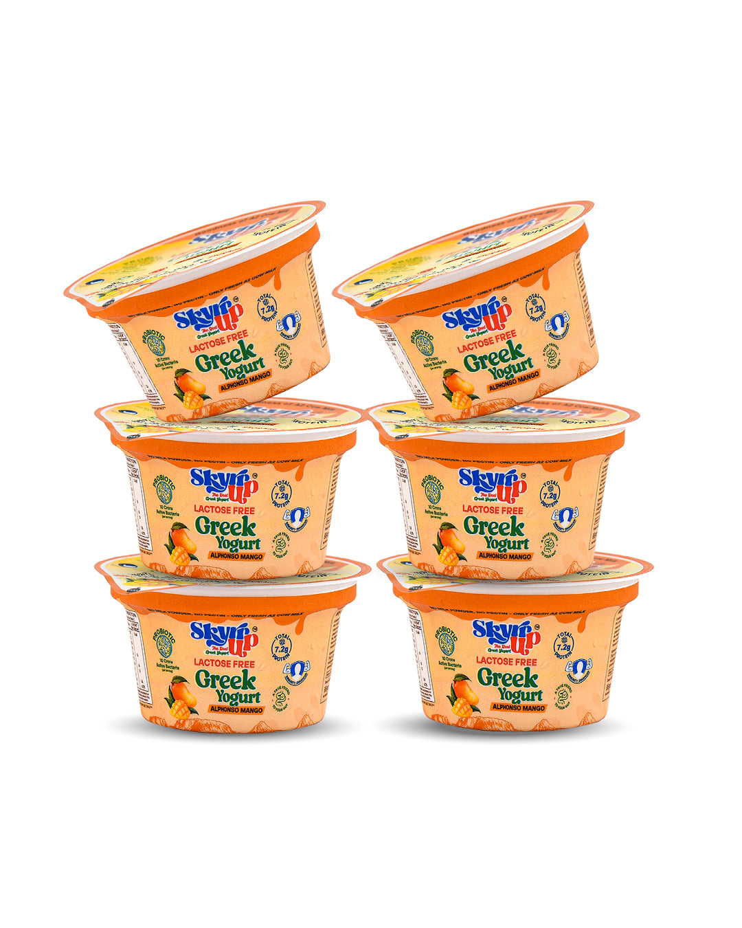 Mango Greek Yogurt (Pack of 6)