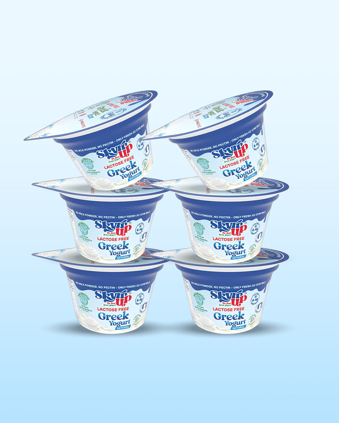 Natural Greek Yogurt (Pack of 6) - 85g each
