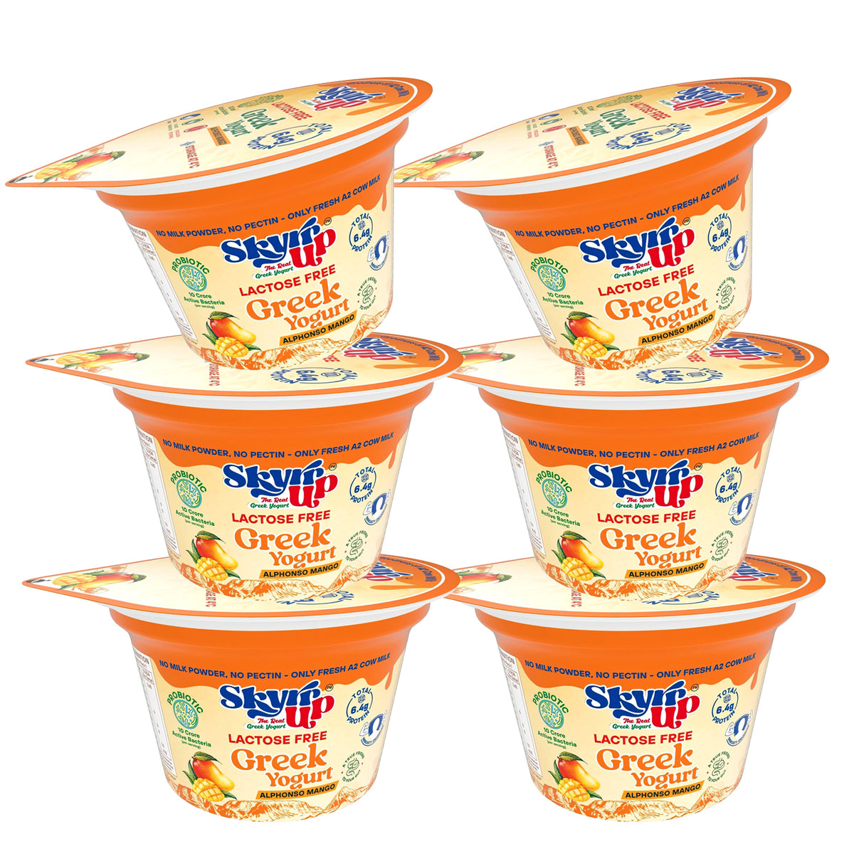 Mango Greek Yogurt (Pack of 6)