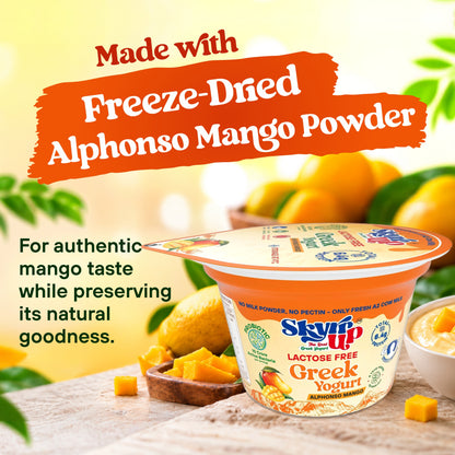 Mango Greek Yogurt (Pack of 6)