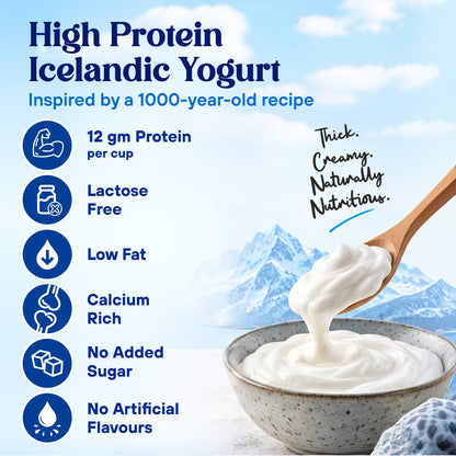 Original Icelandic Skyr (Pack of 6)