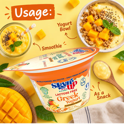 Mango Greek Yogurt (Pack of 6)