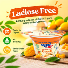 Mango Greek Yogurt (Pack of 6)