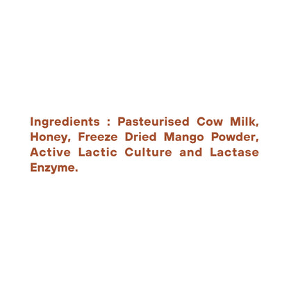 Mango Greek Yogurt (Pack of 6)
