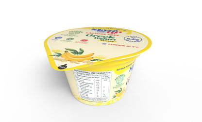 Banana Greek Yogurt (Pack of 6)